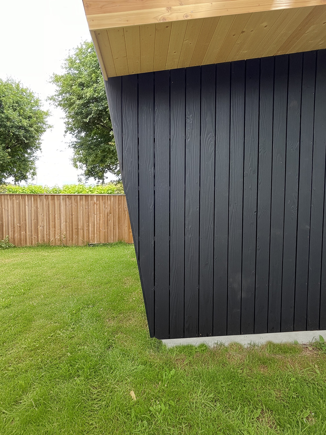 Abri de jardin moderne avec mur en bois noir vertical et toiture inclinée en bois clair, sur gazon vert avec clôture et arbres.