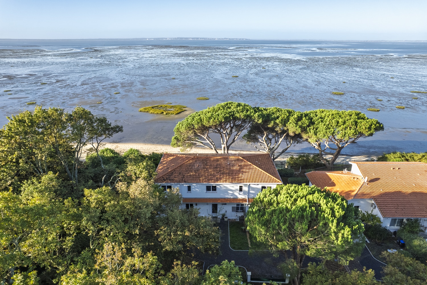 Vue aérienne de maisons aux toits de tuiles rouges nichées dans une végétation luxuriante, surplombant un estran marin découvert à marée basse.