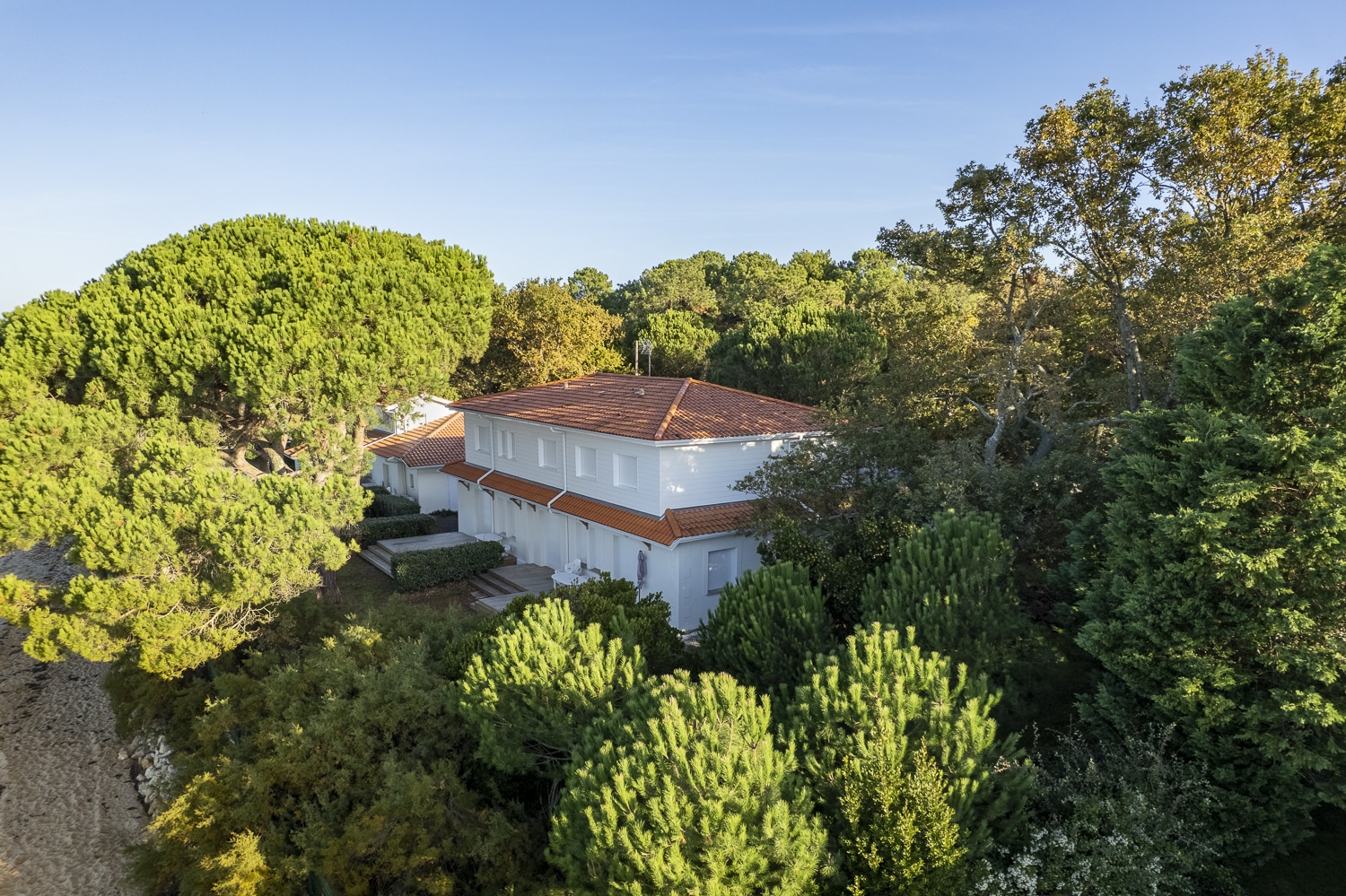 Villa blanche au toit de tuiles rouges, nichée au milieu d'une végétation luxuriante, pins maritimes et grands arbres, vue aérienne.